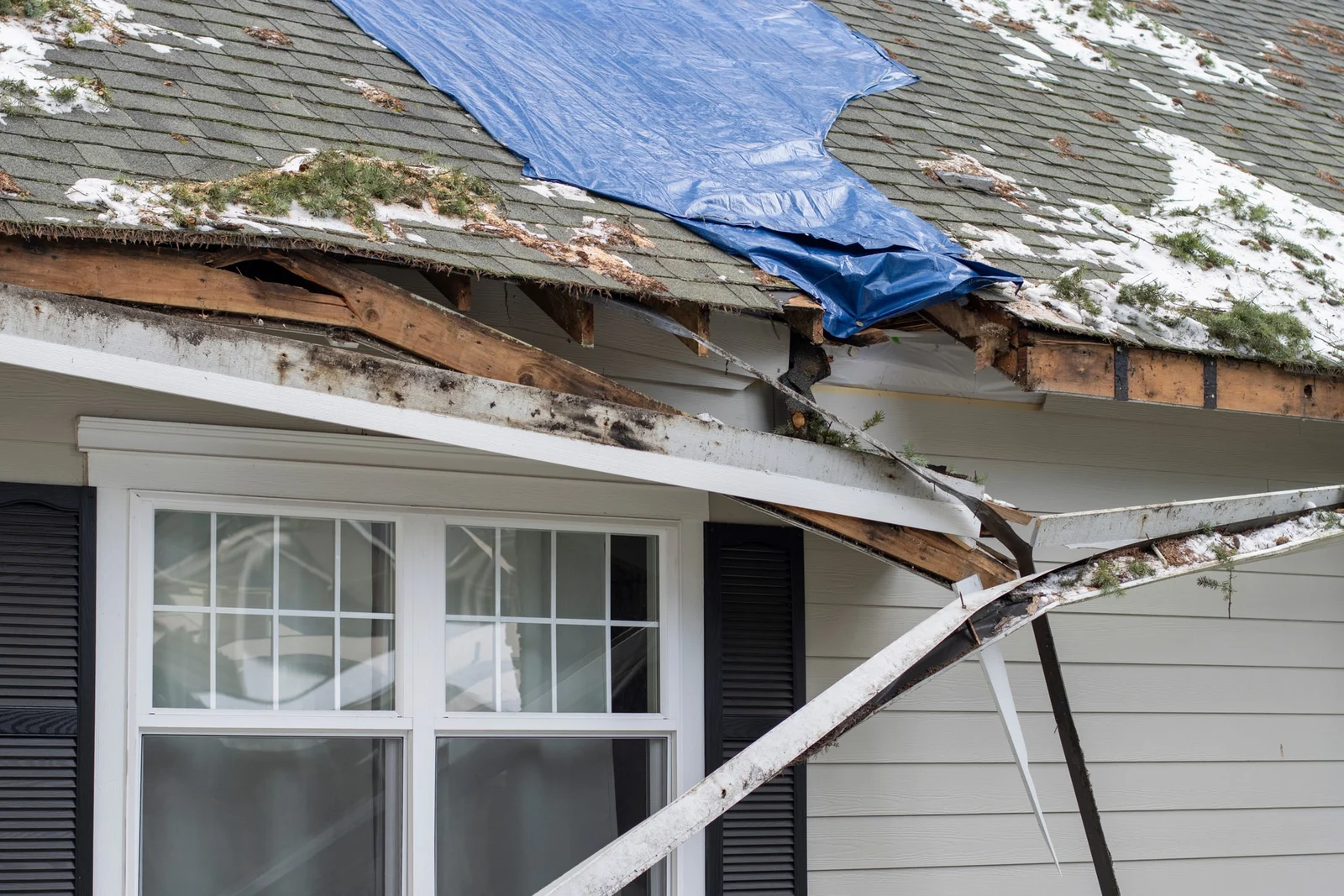 How Supreme Roofing Grew Across London and Essex in homeowners across Essex and East London